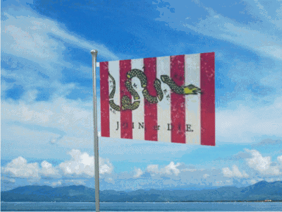 Co.-flag