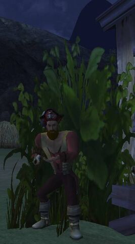 File:Captain Nick.jpg