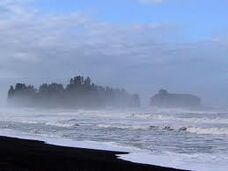 Foggy Island