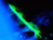Ghost Sword