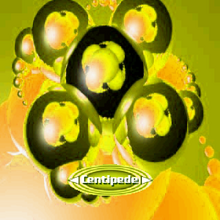 54Yellow