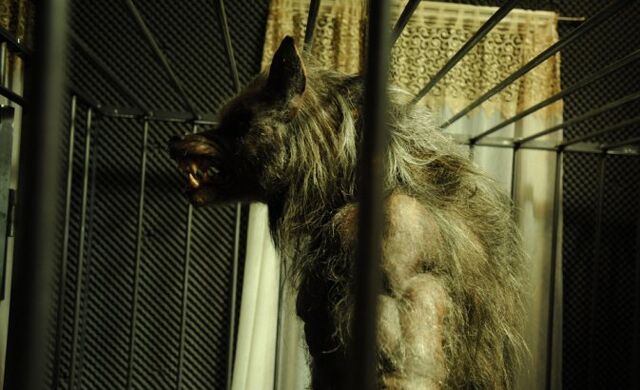 File:Werewolf-superpower.jpg
