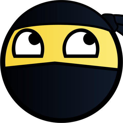 File:Ninja 2.png