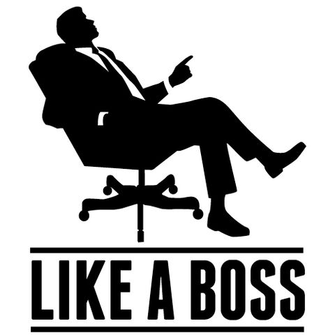 File:Like A Boss.jpg