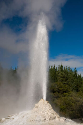 File:Geyser-lady-knox-new-zealand.jpg