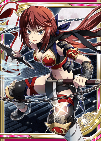 File:Ninja Master H.png