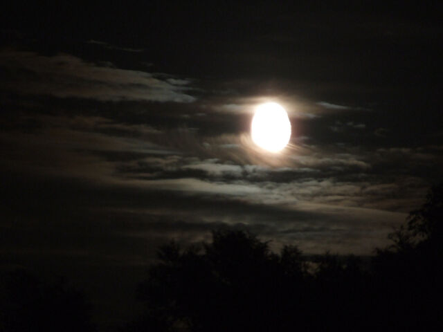 File:Night.jpg