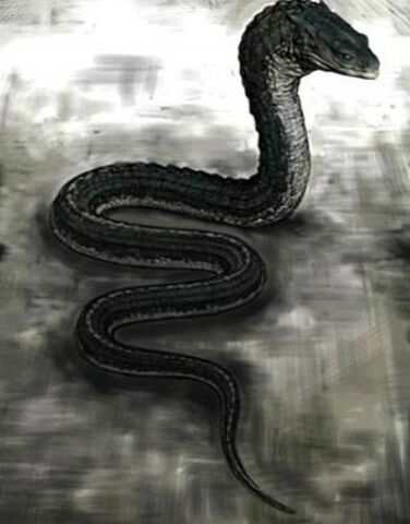 File:Basilisk snake.jpg