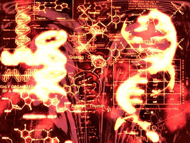 File:Genetic Code.jpeg