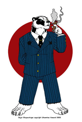 File:402px-Bajer Blaquestrype.jpg
