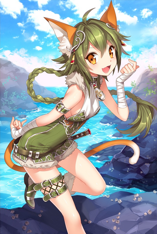 File:Cat Thief.png