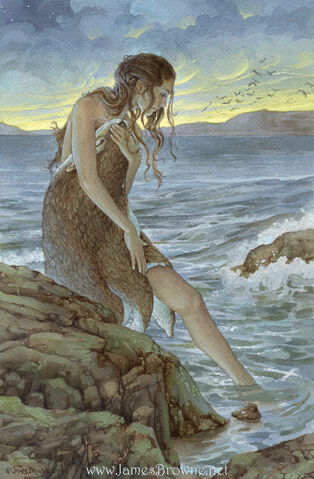 File:Selkie.jpg