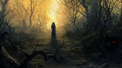 The Enchanted Forest1