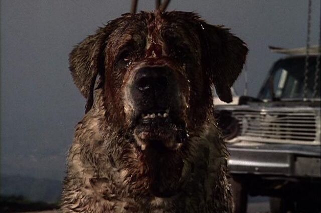 File:Cujo2.jpg