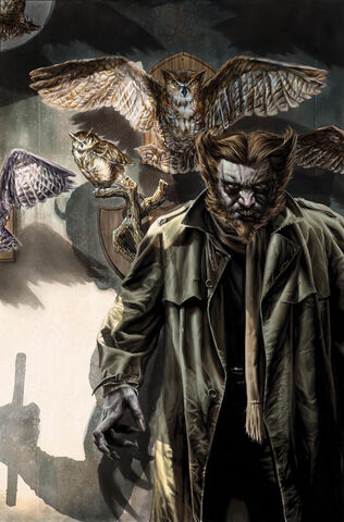 File:Owl 114.jpg