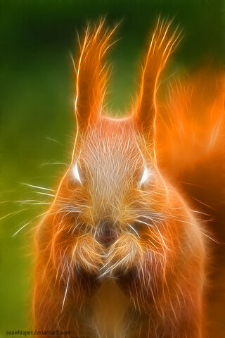File:Ratatosk.jpg