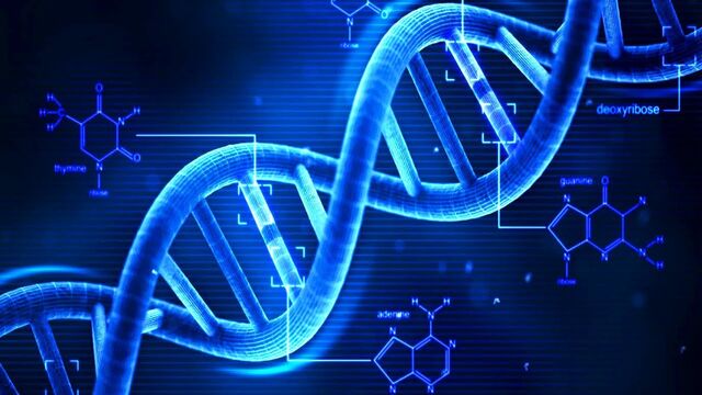 File:DNA-0.jpg