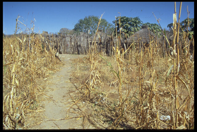 File:DrySeason.jpg