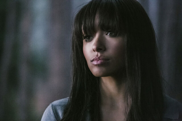 File:TVD 410A 0229b.jpg-76d48405-t3.jpg
