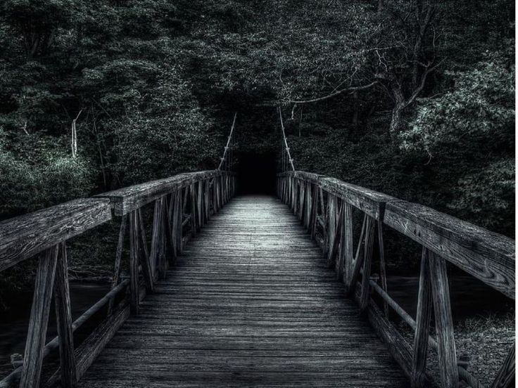 The bridge