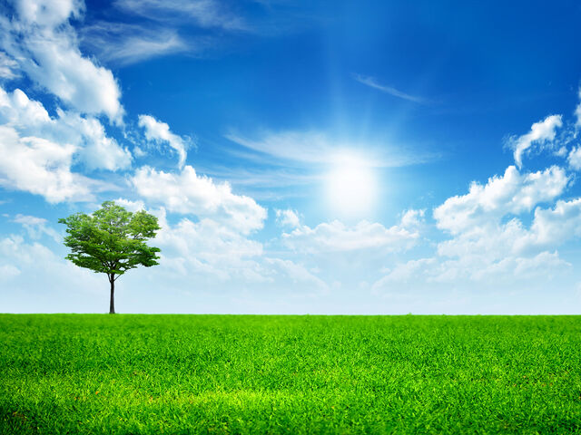 File:Sunny-day.jpg