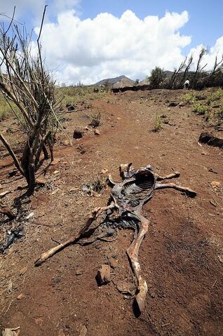 File:Drought.jpg