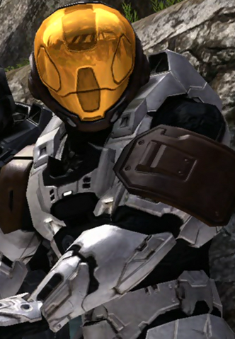 File:Meta S8.png
