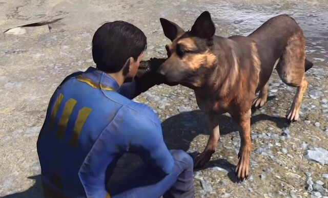 File:Dogmeat-meets-Protagonist.jpg