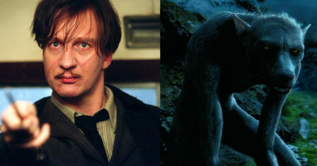 File:Remuslupin.png