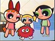Beebo1