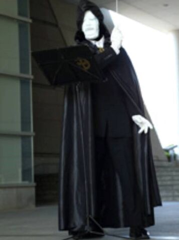 File:New Sorrowful Knight.jpg