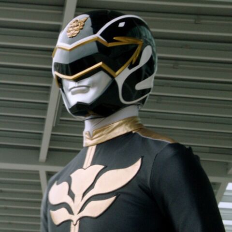 File:Black-power-rangers-megaforce-lifesize-standup-poster.jpg