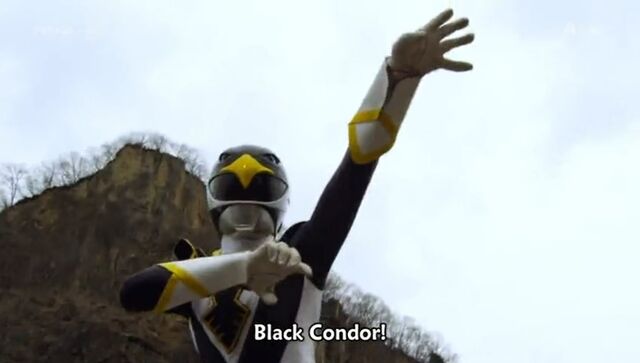File:Black Condor (Delusional War).jpg