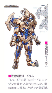 Godorumconcept