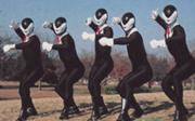180px-Dai-vi-cotpotros.jpg