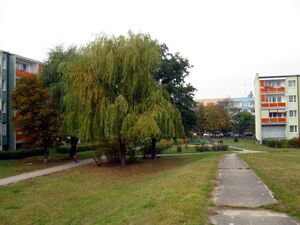 Os. Jana III Sobieskiego