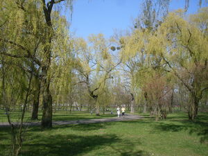 ParkJPII-2.jpg