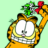 Mistletoe garfield