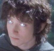 Suedom-Frodo