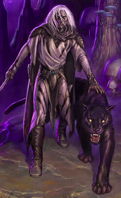 Drizzt1