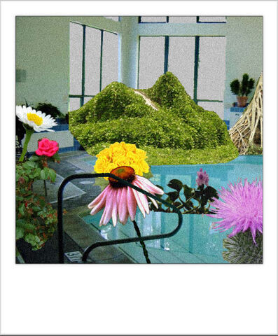 File:FlowersPool.jpg