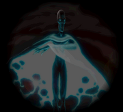 The observer