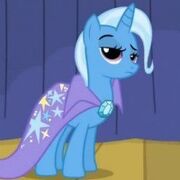 28999-trixie-foto.jpg