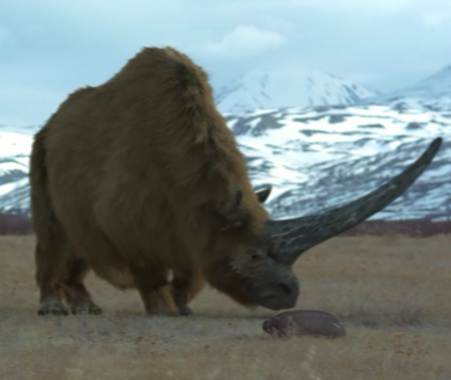 Elasmotherium | Prehistoric Park Wiki | FANDOM powered by Wikia