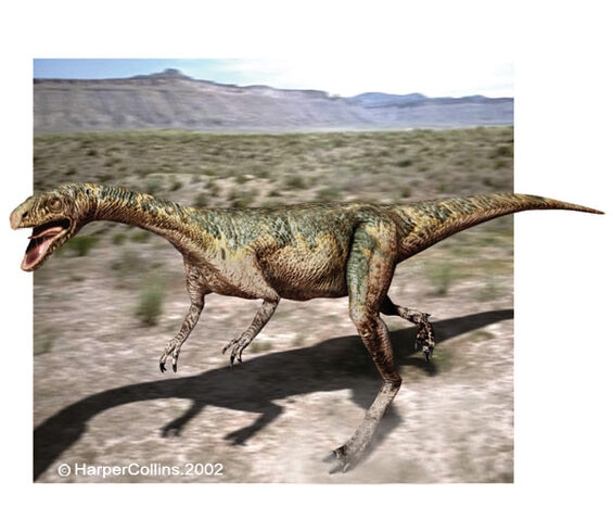 File:Elaphrosaurus.jpg