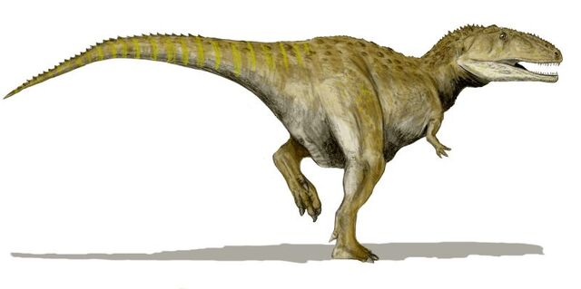 File:Mapusaurus 2.jpg