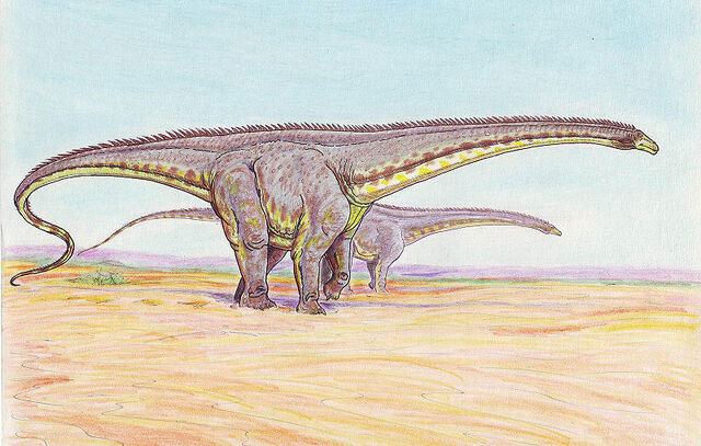 File:Diplodocus3.jpg