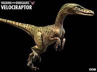 File:Vraptorwwd.jpg