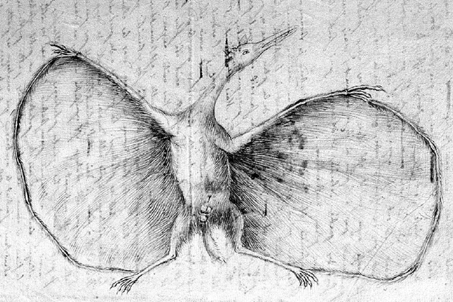 File:Hermann's Pterodactylus.png