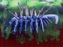 Hallucigenia artistic interpretation